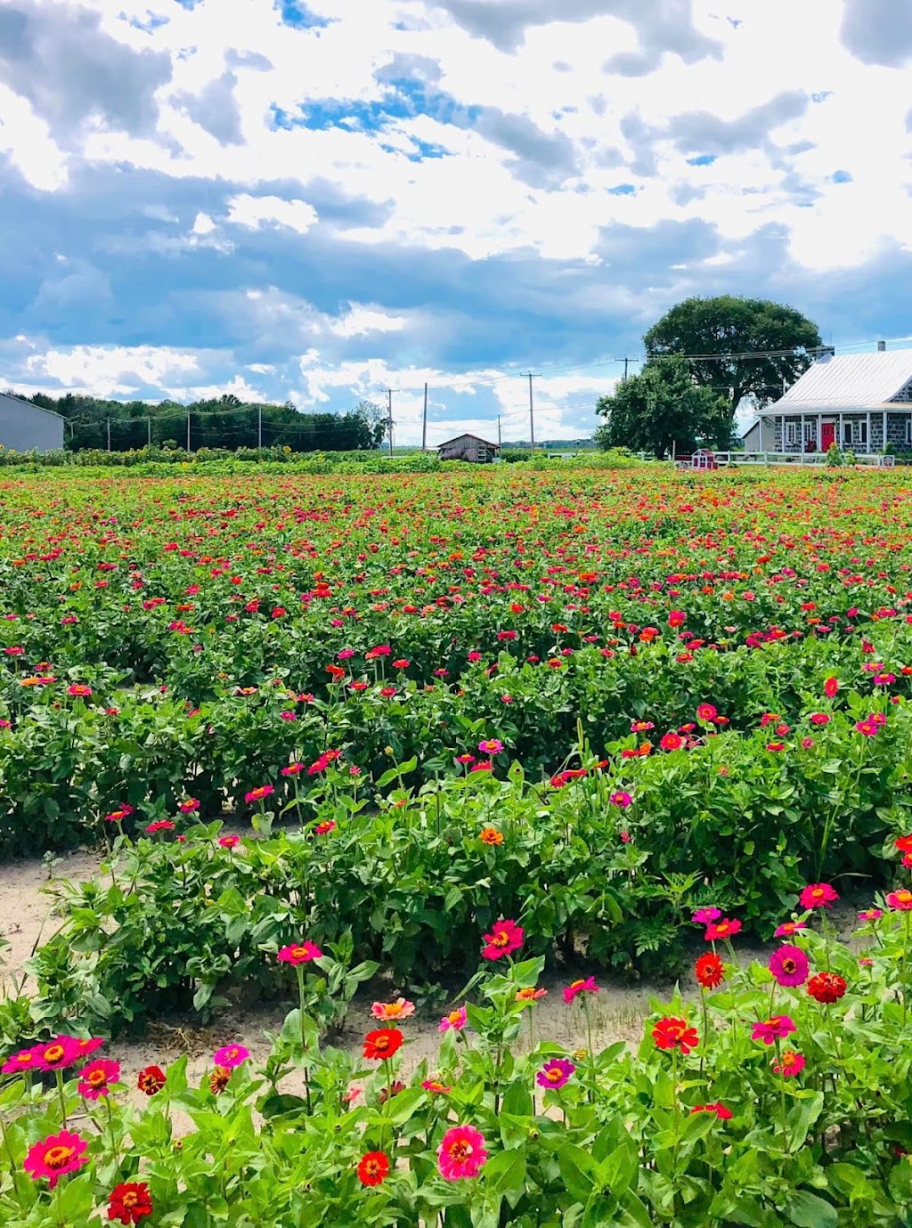 Potager Astral | 367 Rang de Fort-Georges, Sainte-Angèle-de-Monnoir, QC J0L 1P0, Canada | Phone: (514) 662-7814