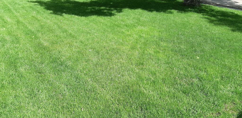 Turf Boss | 1 Yvette St, Oakbank, MB R0E 1J1, Canada | Phone: (204) 805-0787