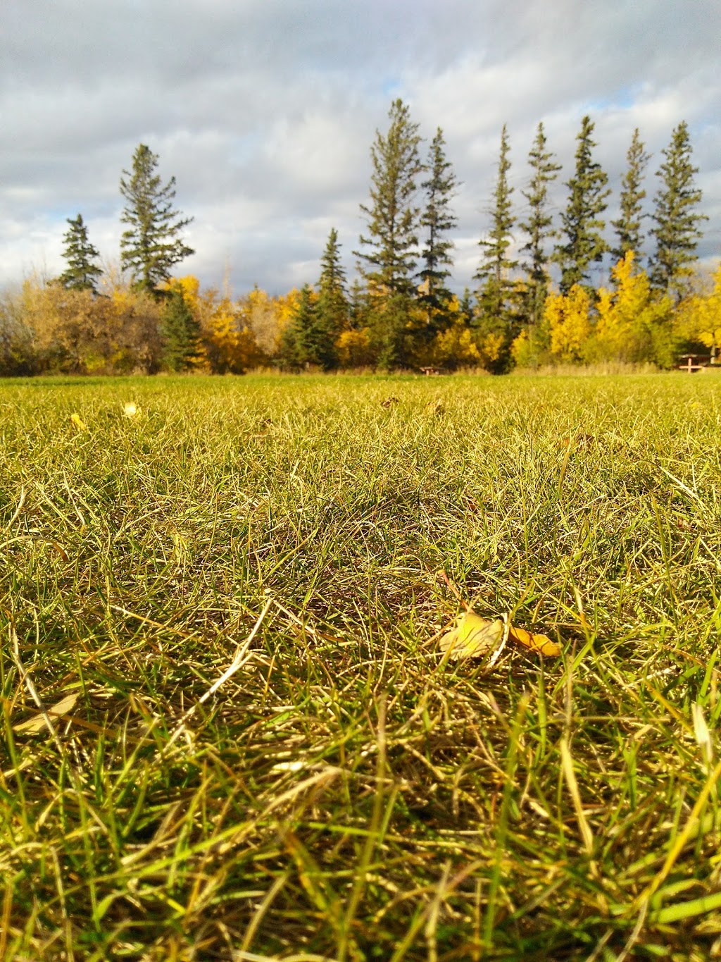 Deer Ridge Park | Deer Ridge Dr, St. Albert, AB T8N 5T9, Canada