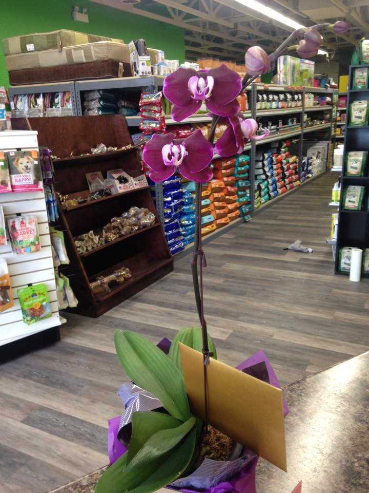 Luckys Pet Supply | 104-2100 Main St, Penticton, BC V2A 5H7, Canada | Phone: (250) 493-3647