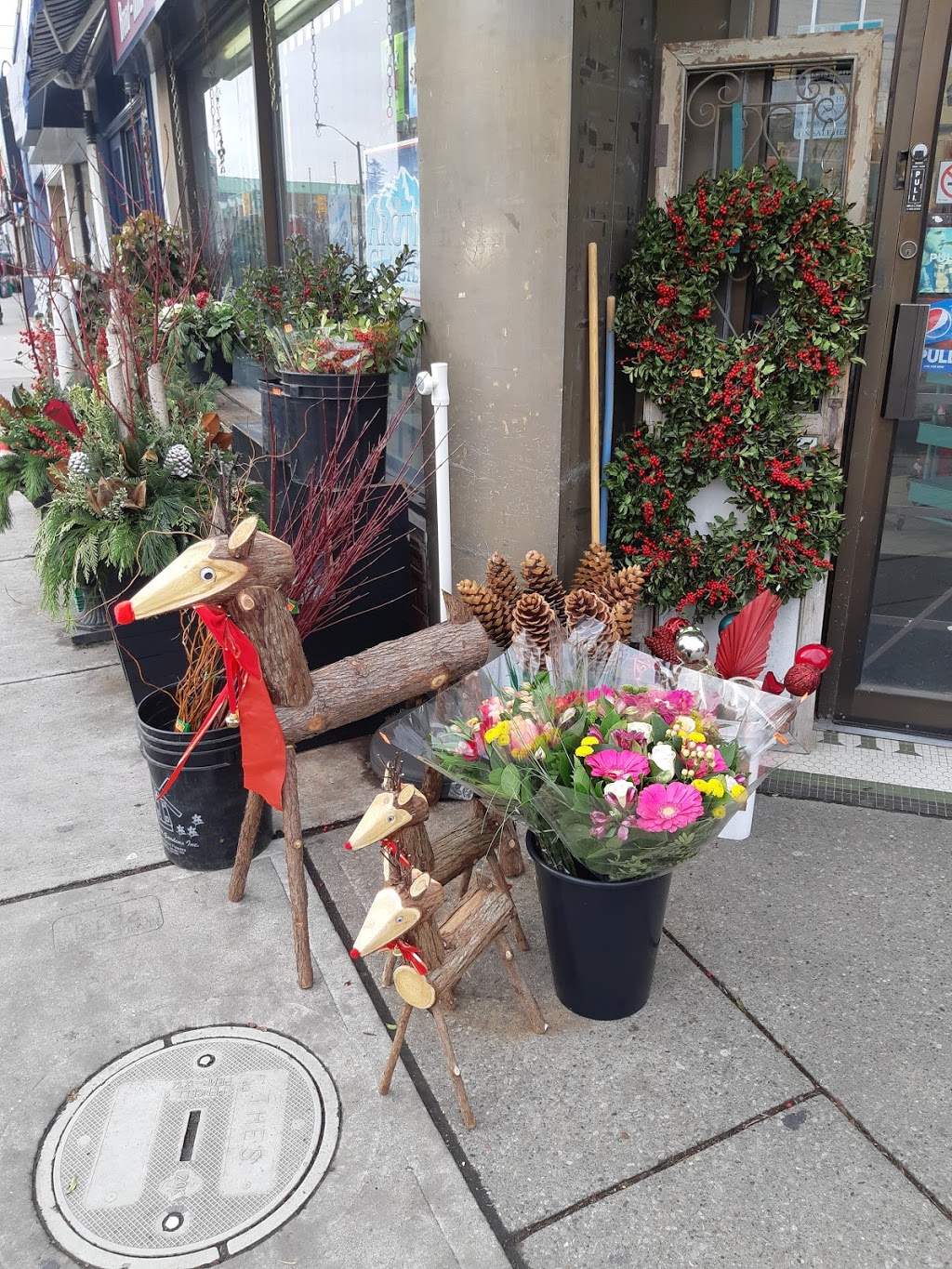 Kingsway Variety | 2992 Bloor St W, Etobicoke, ON M8X 1C2, Canada | Phone: (416) 233-2195