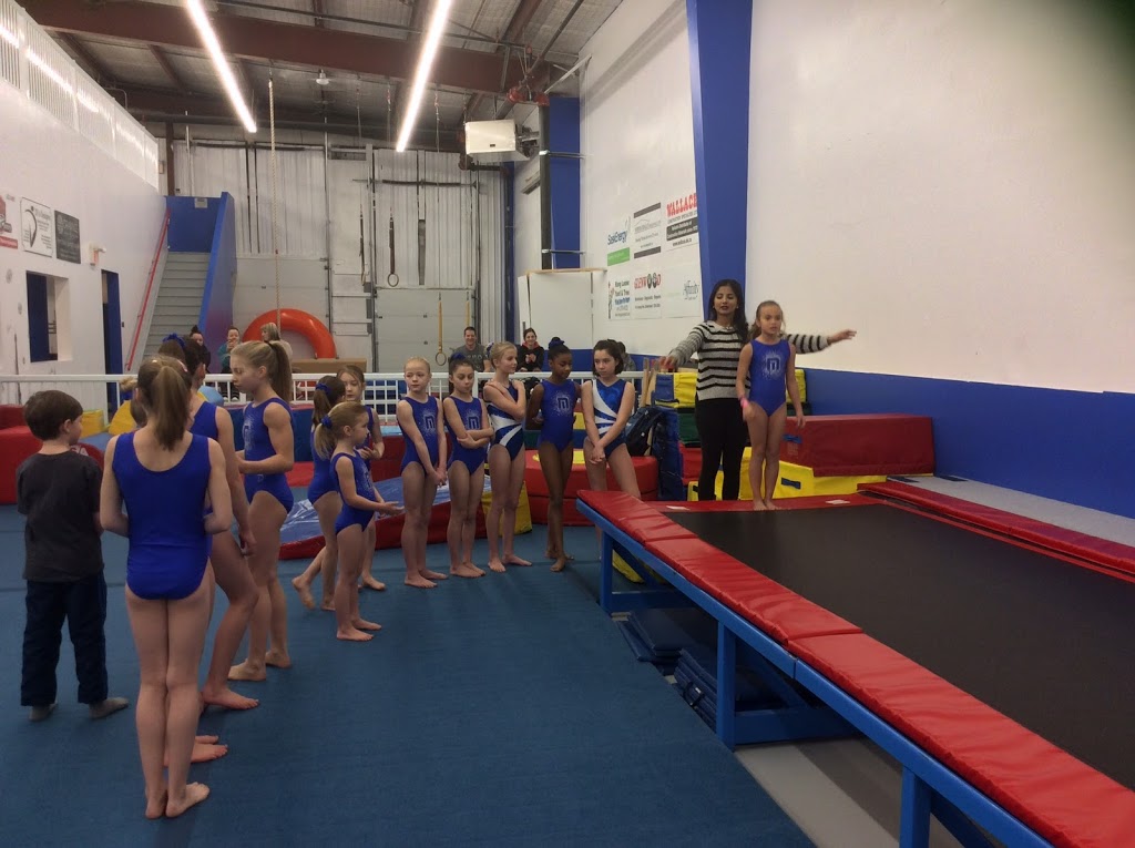 Marian Gymnastics | 337 &, 343 Edson St, Saskatoon, SK S7J 4C8, Canada | Phone: (306) 934-0944