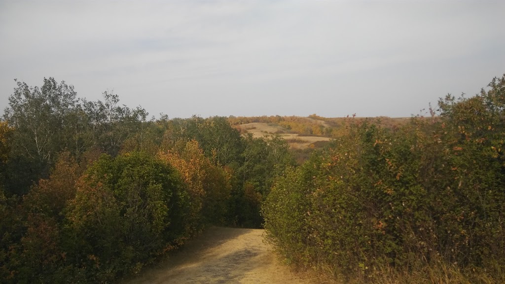 Dallas Valley Ranch Camp | Box 779, Lumsden, SK S0G 3C0, Canada | Phone: (306) 731-3348
