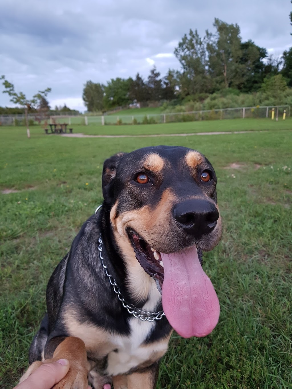 Leash Free Pelham Dog Park | 1671 Centre St, Ridgeville, ON L0S 1M0, Canada