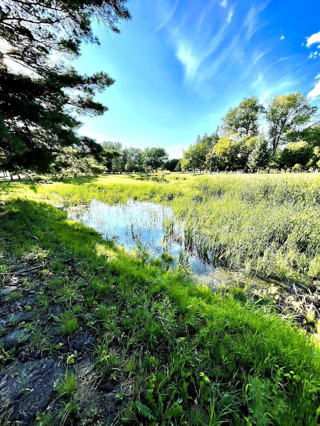 Lions Riverbend Campground | Broadway Ave, Neepawa, MB R0J 1H0, Canada | Phone: (204) 476-7676