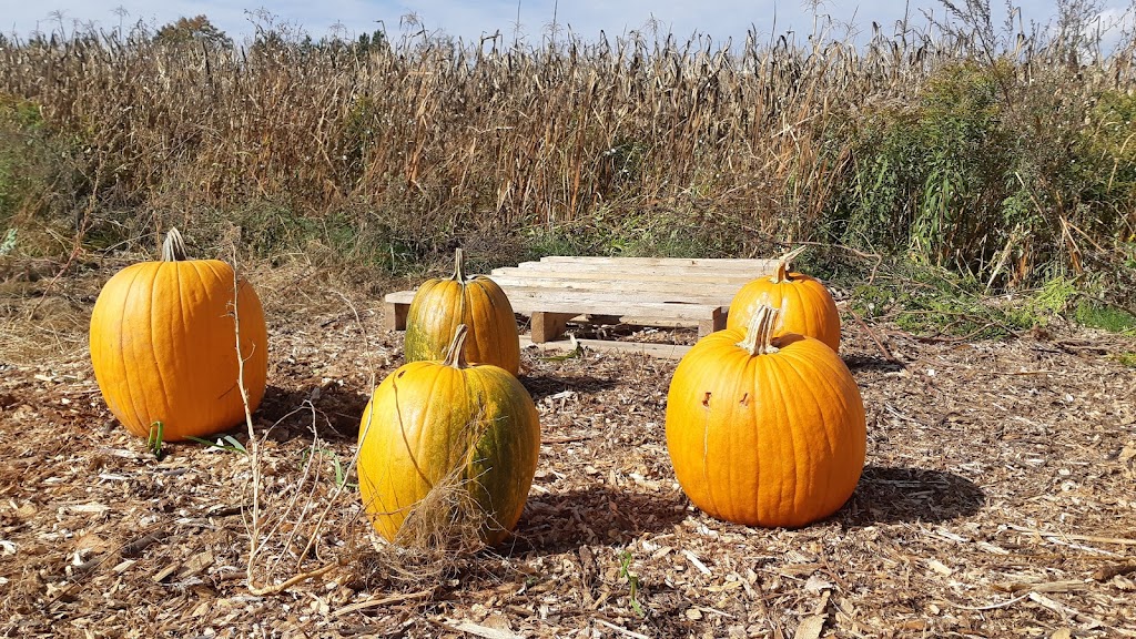 Les jardins de Mascouche | 1412 Chem. de la Côte Georges, Mascouche, QC J7K 3C2, Canada | Phone: (438) 880-9575