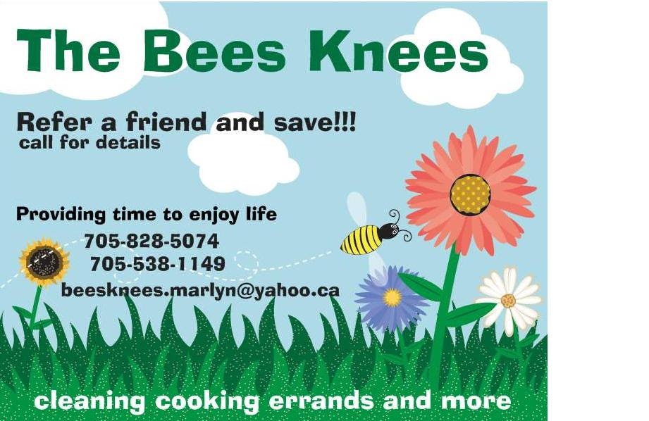 The Bees Knees | 237 Forest Harbour Pkwy, Waubaushene, ON L0K 2C0, Canada | Phone: (705) 828-5074