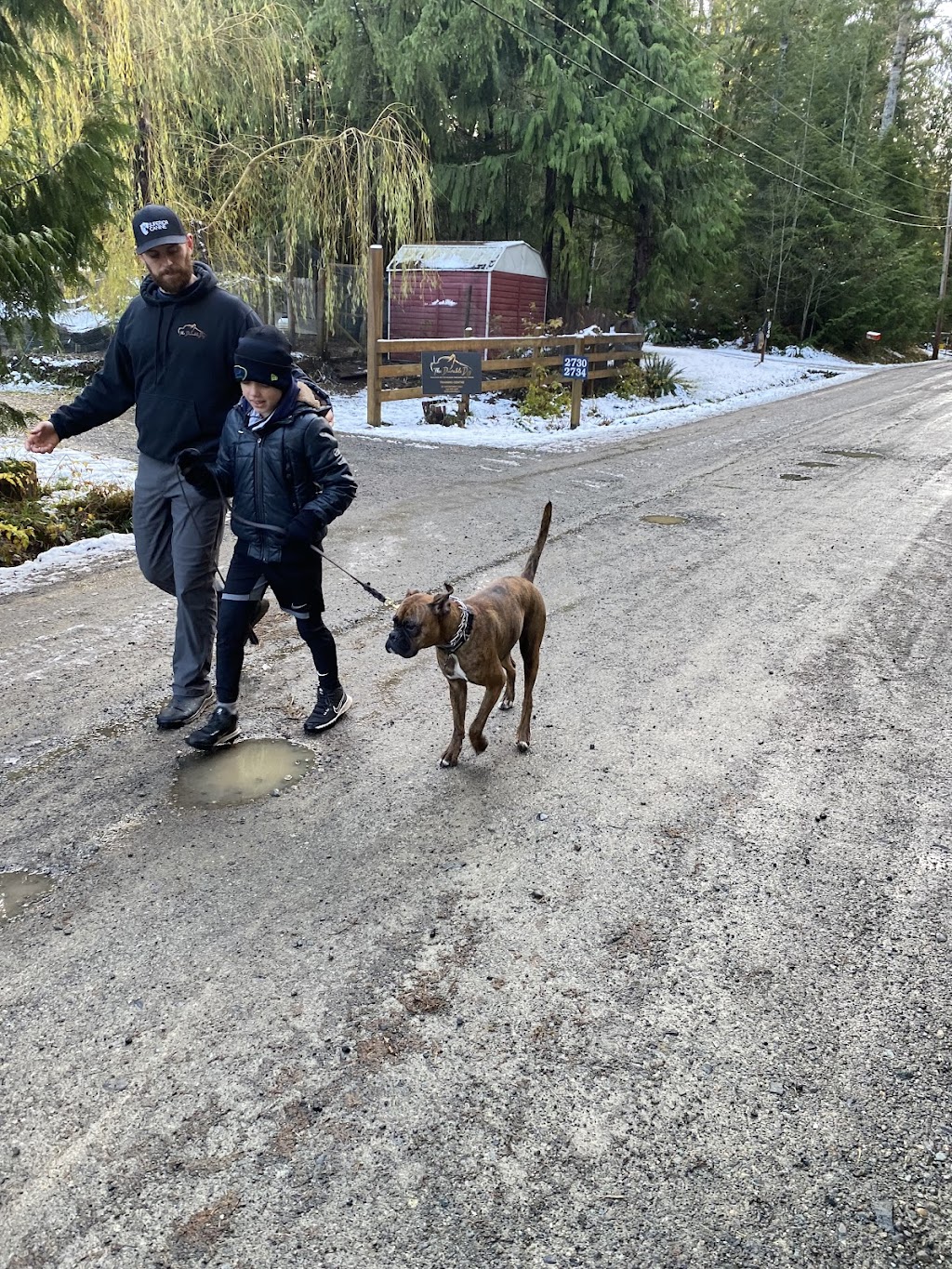 The Durable Dog | 2734 Tintern Rd, Qualicum Beach, BC V9K 1Y2, Canada | Phone: (250) 668-2978