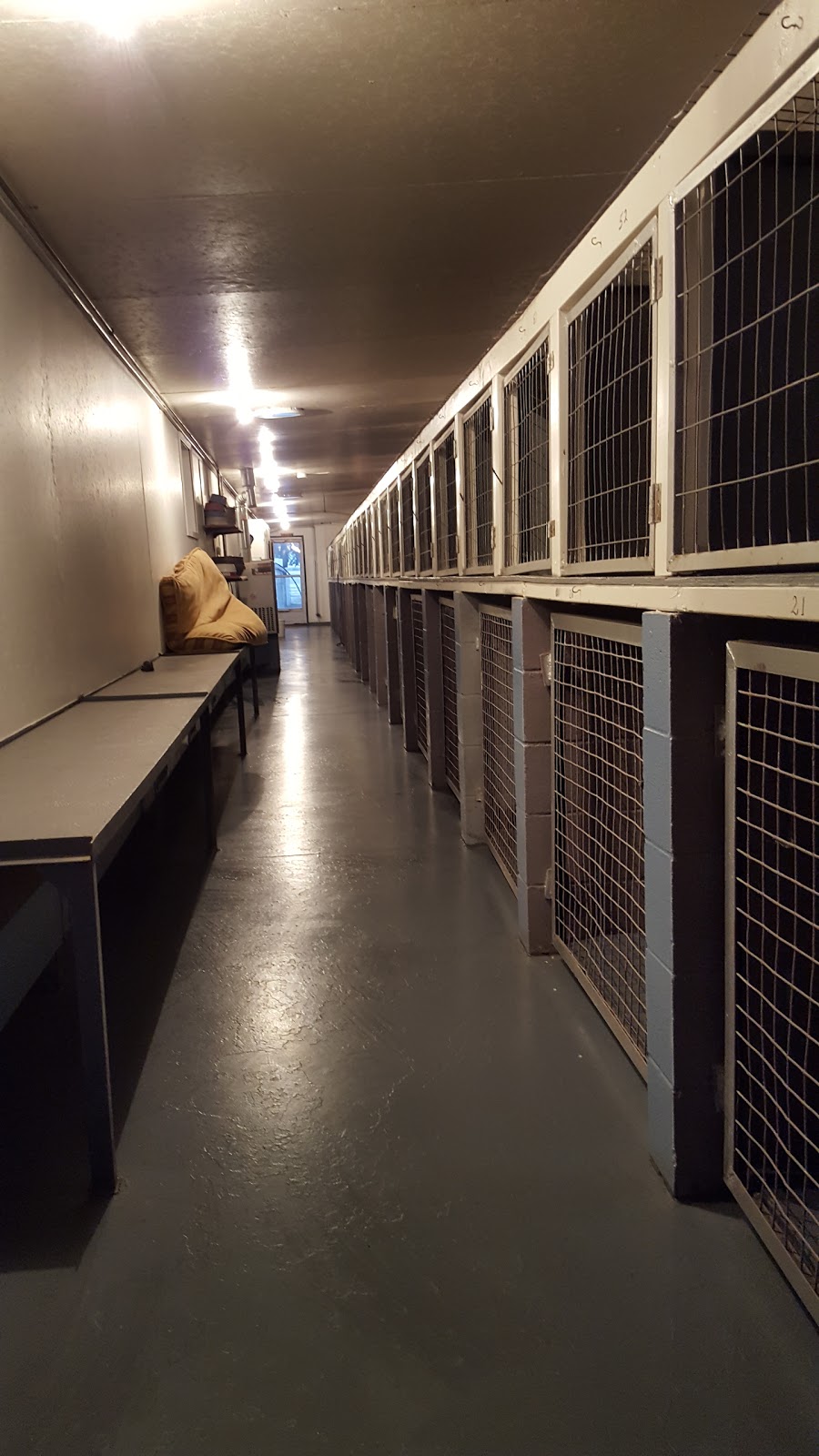 Westglen Boarding Kennels Ltd | 226 Ave 32nd St SW, De Winton, AB T0L 0X0, Canada | Phone: (403) 256-0806