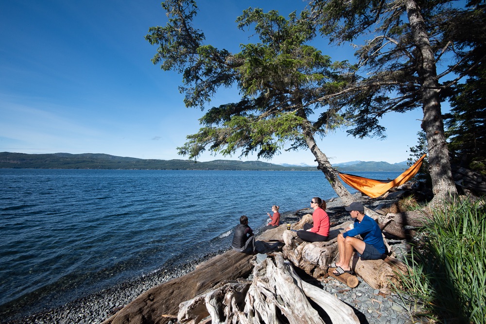 Kayak Tours Campbell River | 1811 Surgenor Rd, Black Creek, BC V9J 1G6, Canada | Phone: (250) 337-5717