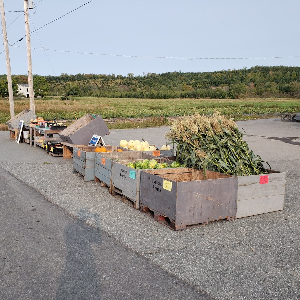 DeLong Farms | 312 Barss Corner Rd, New Germany, NS B0R 1E0, Canada | Phone: (800) 565-1230