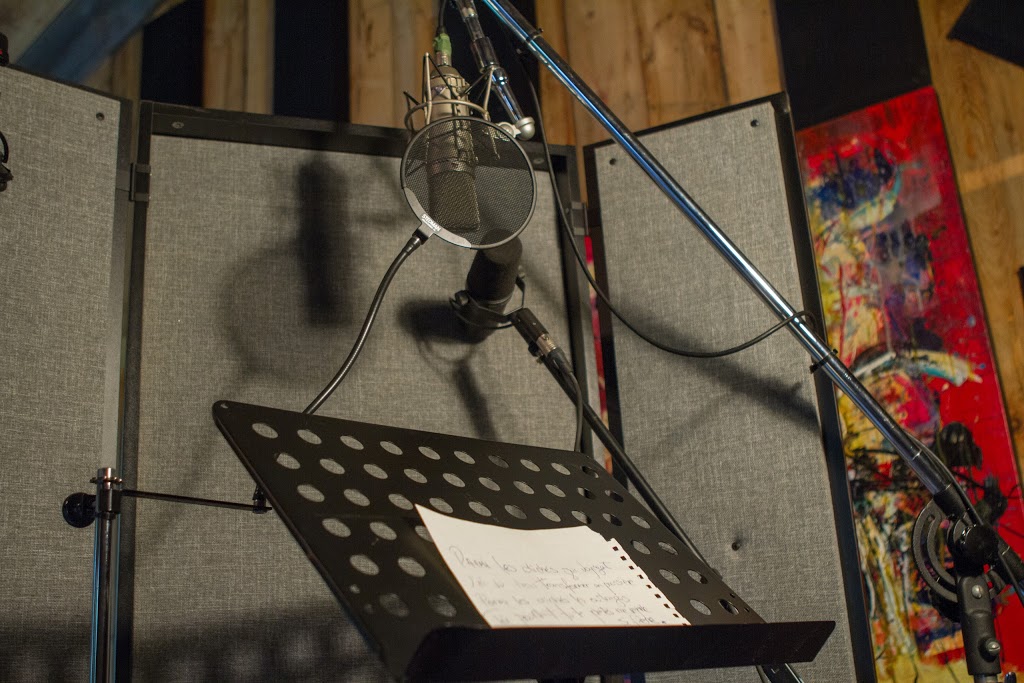 Le studio Newton recording studio | 6 Rue Newton, Morin-Heights, QC J0R 1H0, Canada | Phone: (514) 894-2180