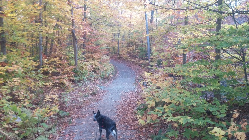 Huron Trail | Chelsea, QC J9B 1H9, Canada