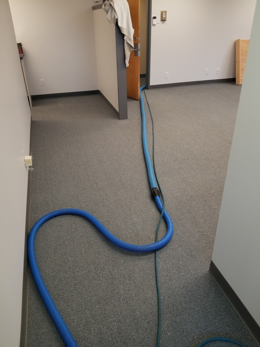 Nanaimo Carpet Cleaning | 5430 Dunster Rd, Nanaimo, BC V9T 4M8, Canada | Phone: (250) 390-3399