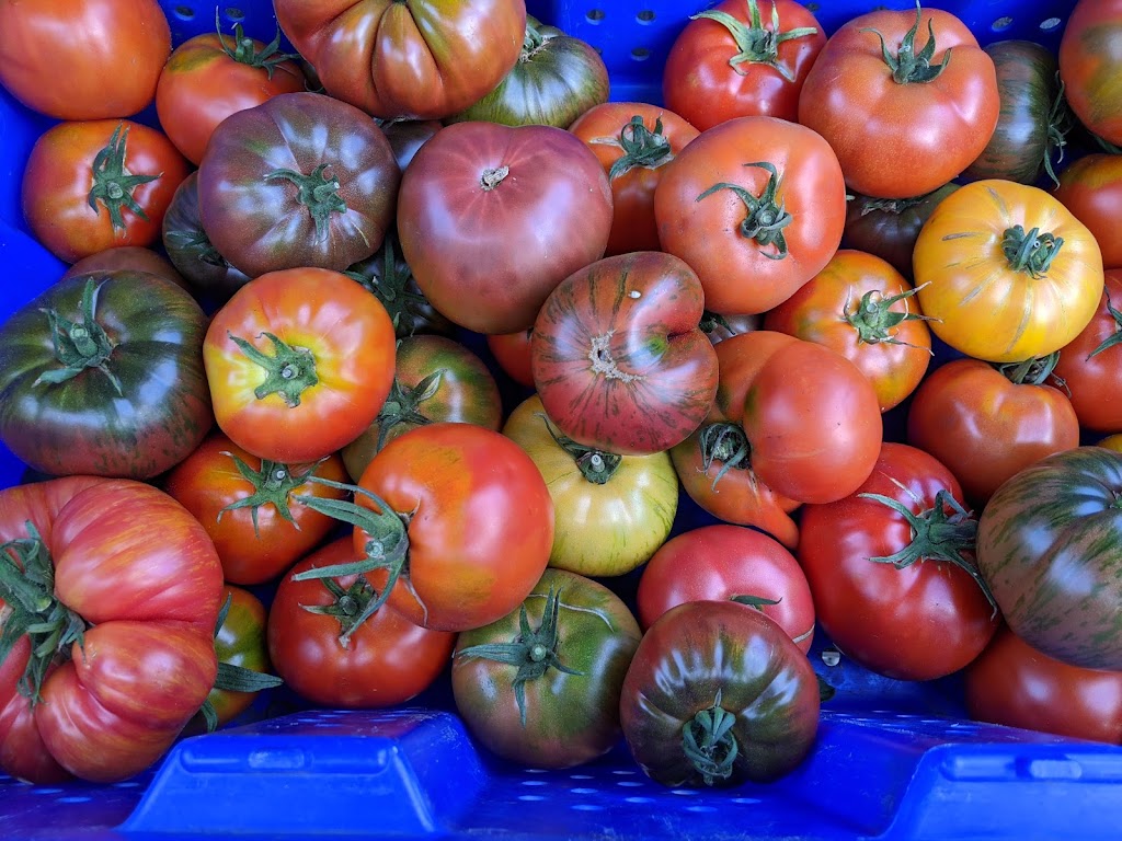 Saanich Organics | 1438 Mt Newton Cross Rd, Saanichton, BC V8M 1S1, Canada | Phone: (250) 818-5807