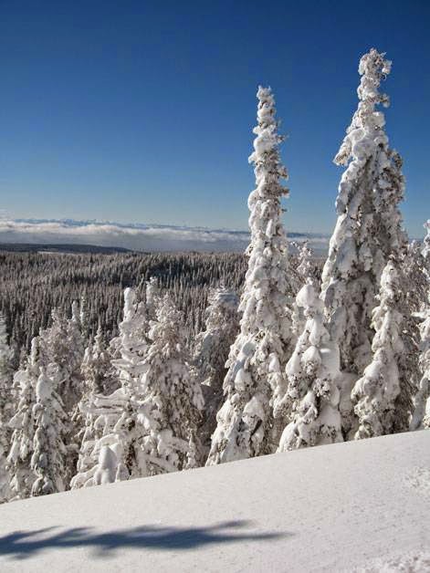 Thompson Valley Tours & Rentals | 3603 Shuswap Rd, Kamloops, BC V2H 1S1, Canada | Phone: (250) 851-8687