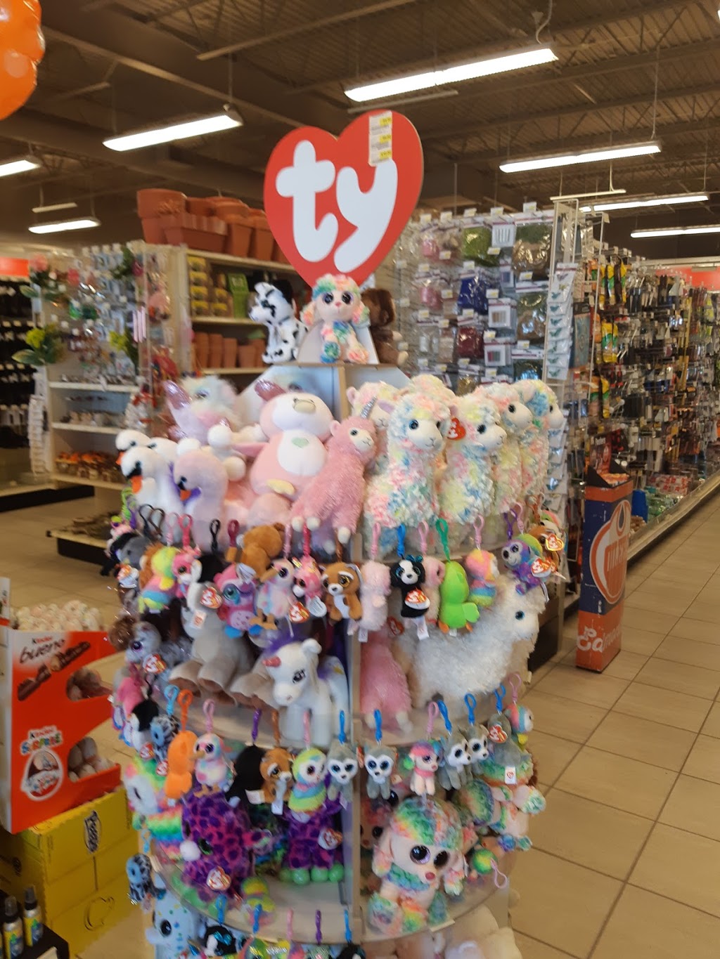 Your Dollar Store With More | 13715 42 St NW, Edmonton, AB T5Y 3E1, Canada | Phone: (587) 497-9924
