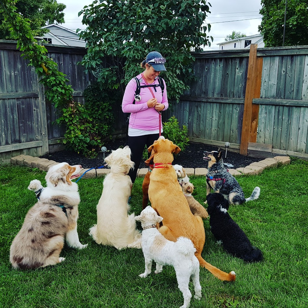 The Perfect Pack Dog Training & Walking Services | Linwell Rd, St. Catharines, ON L2N 6N5, Canada | Phone: (905) 941-1785
