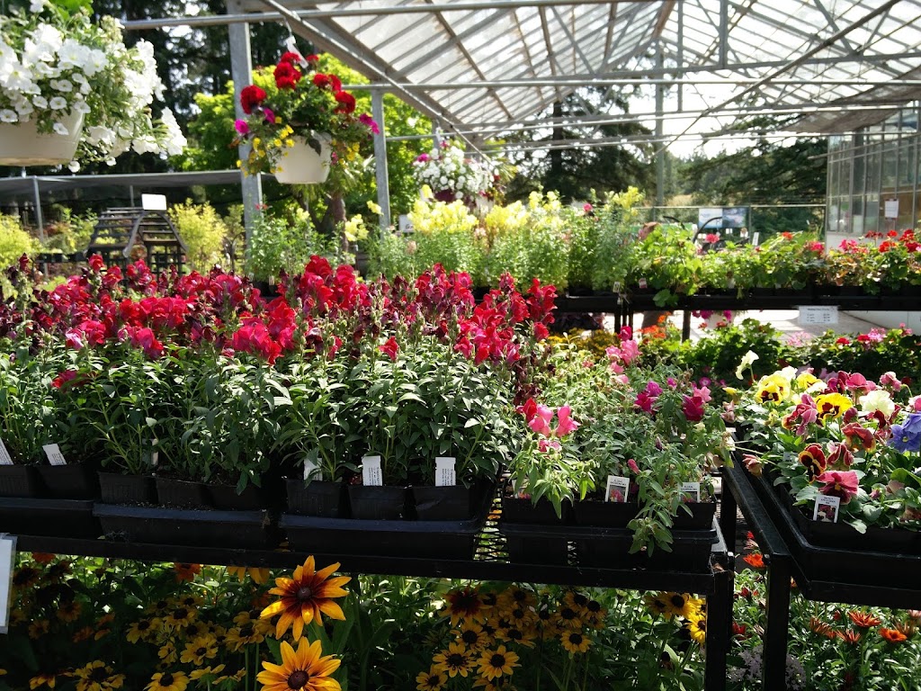 B Dinter Nursery Ltd | 2205 Phipps Rd, Duncan, BC V9L 6L2, Canada | Phone: (250) 748-2023