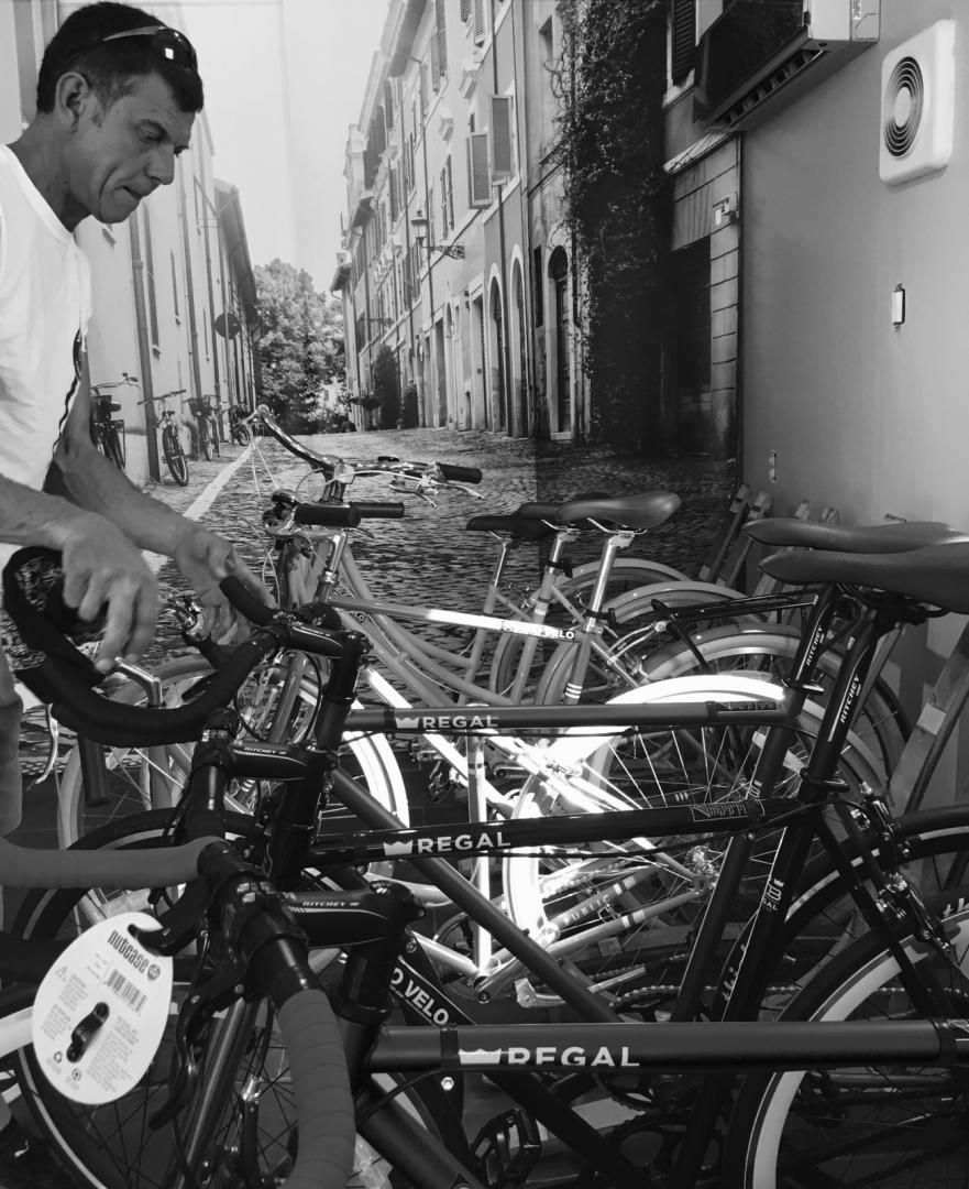 Vino Velo Bike Wine Tours & Bike Rentals | 1511 Niagara Stone Rd, Niagara-on-the-Lake, ON L0S 1J0, Canada | Phone: (905) 468-1280