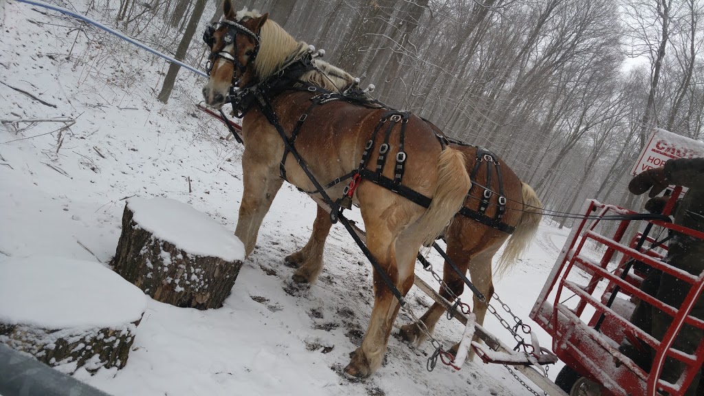 Purple Woods Conservation Area | 38 Coates Rd E, Oshawa, ON L1H 7K4, Canada | Phone: (905) 579-0411