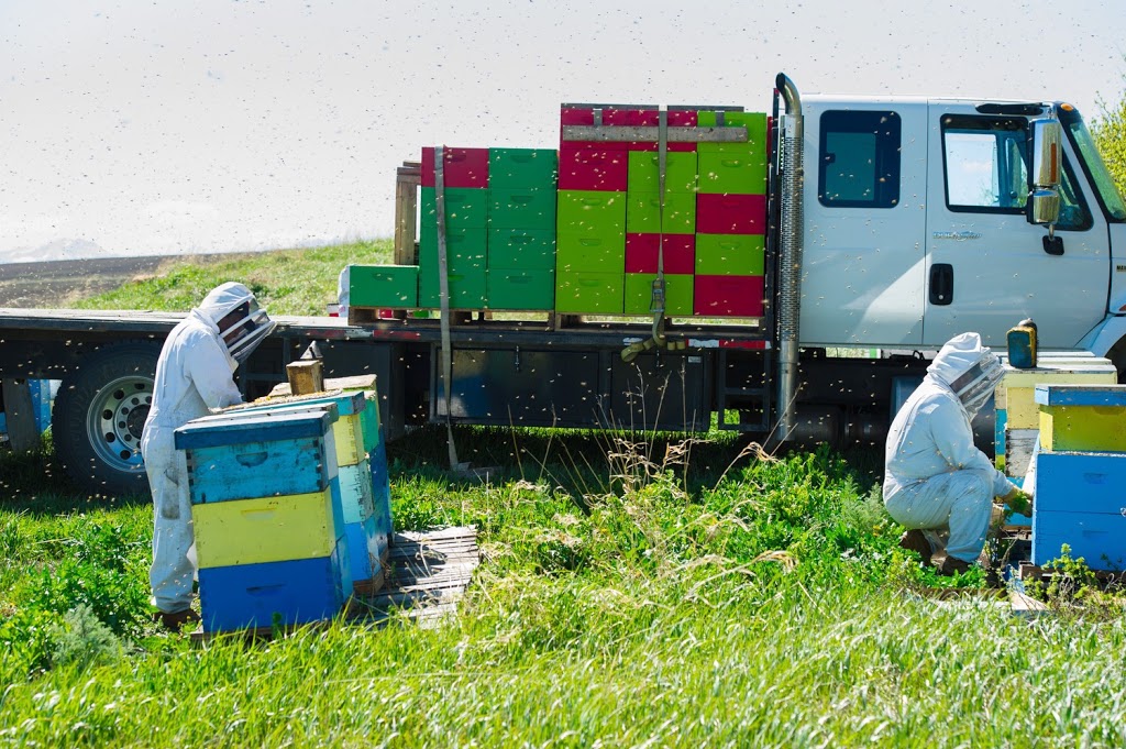 The Honey Mill | 58065 530 Ave E, High River, AB T1V 1M6, Canada | Phone: (403) 652-7647