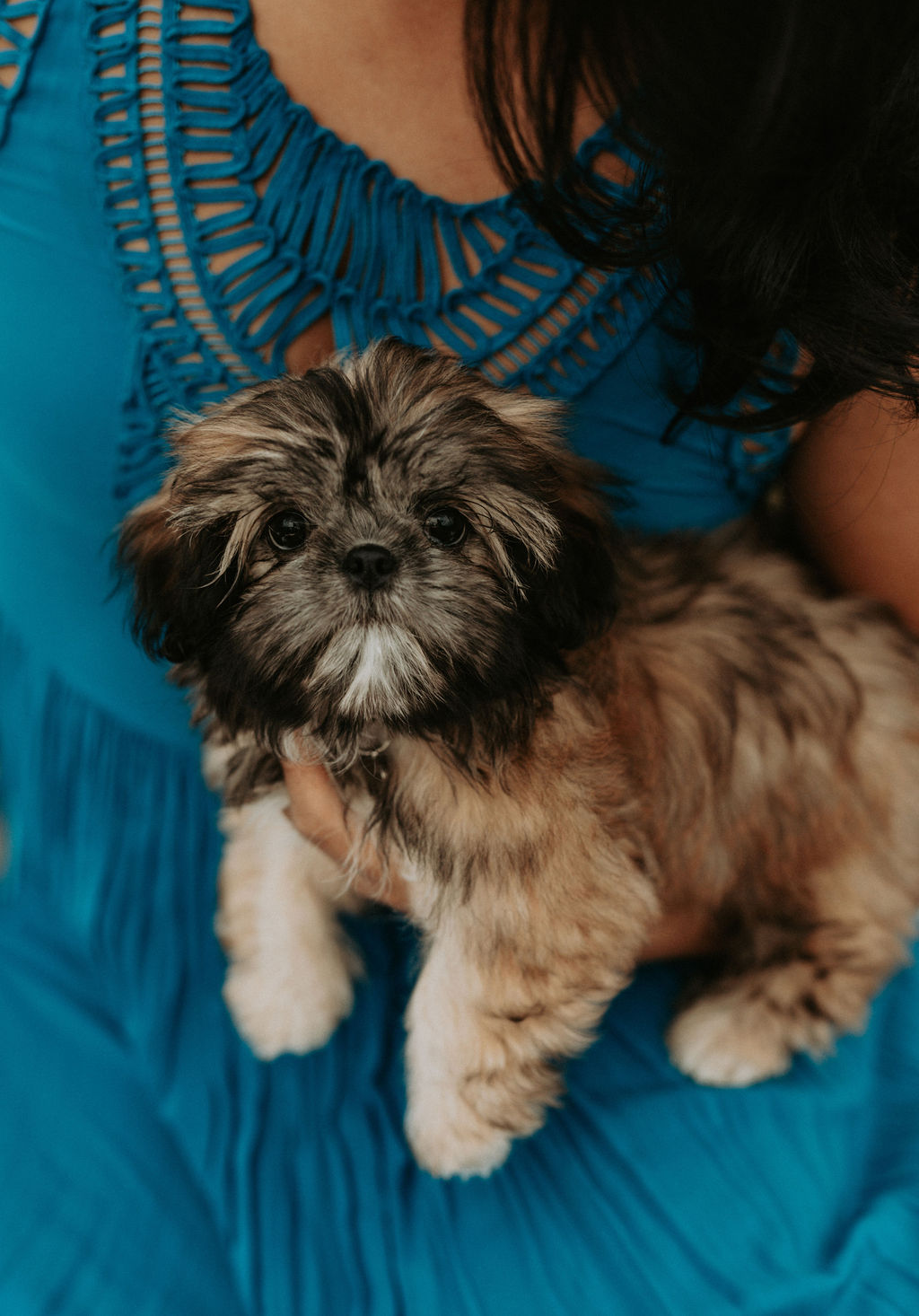 Cameron house photography | Hyde Park Rd, London, ON N6G 5E1, Canada | Phone: (226) 235-5009
