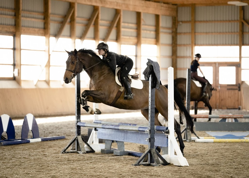 AA Equestrian | 6490 Guelph Line, Burlington, ON L7P 0A9, Canada | Phone: (905) 702-4064
