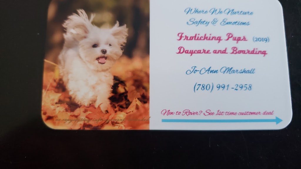 Frolicking Pups (2019) | 10 Rosewood Dr, Sherwood Park, AB T8A 2H2, Canada | Phone: (780) 991-2958