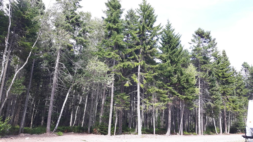 Beachview Campground | 2449 NB-530, Grande-Digue, NB E4R 5G7, Canada | Phone: (506) 576-1118