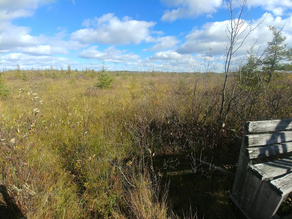 Tourbières-de-Lanoraie Ecological Reserve | Lanoraie, QC J5T 3K6, Canada