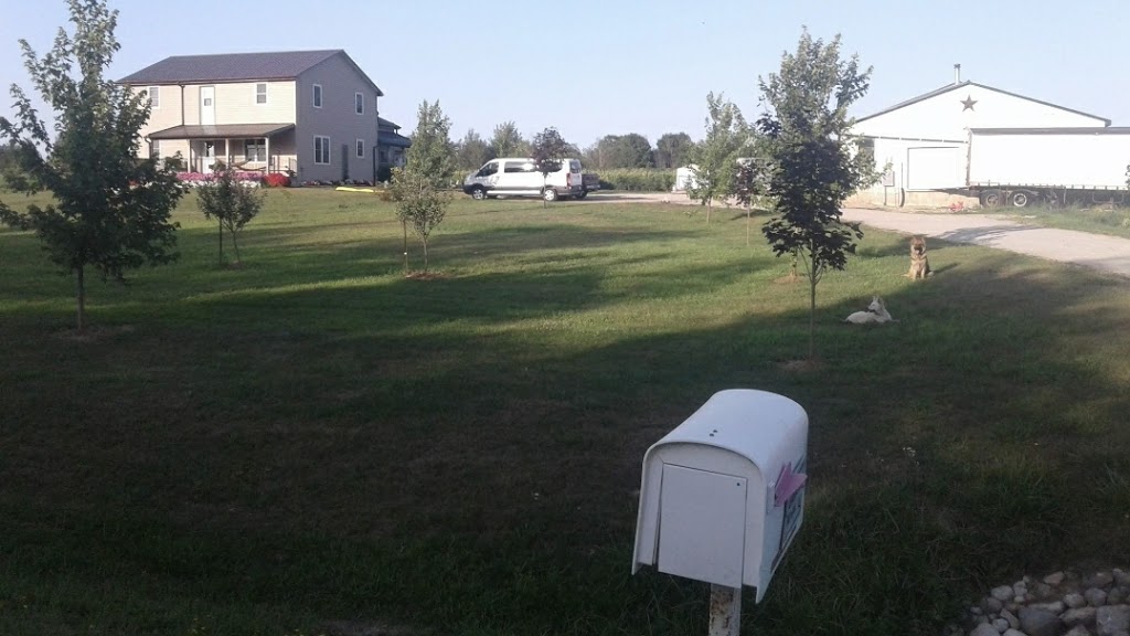 Abram Martens | 90020 Gilmour Line, Wingham, ON N0G 2W0, Canada | Phone: (226) 841-8196