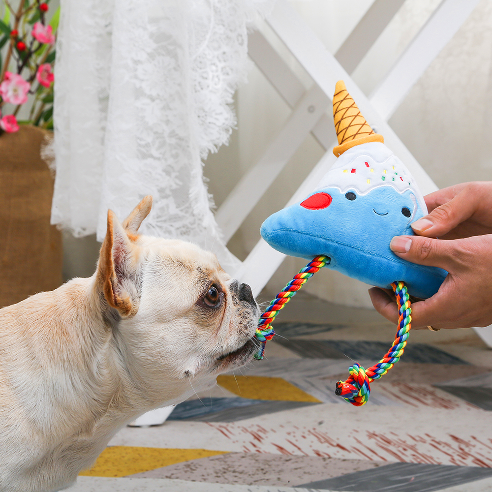 Hugsmart Pet Products | 2999 Underhill Ave #303, Burnaby, BC V5A 3C2, Canada | Phone: (604) 722-2292