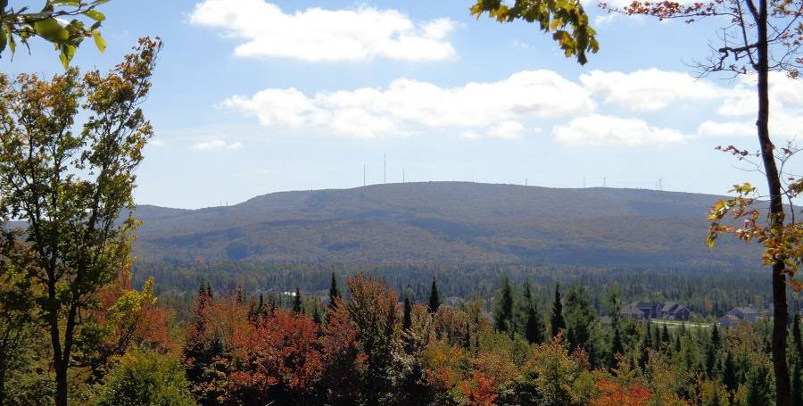 Les Hauts Bois de Shannon | 11 Avenue Cedar, Shannon, QC G3S 0N1, Canada | Phone: (418) 907-2030