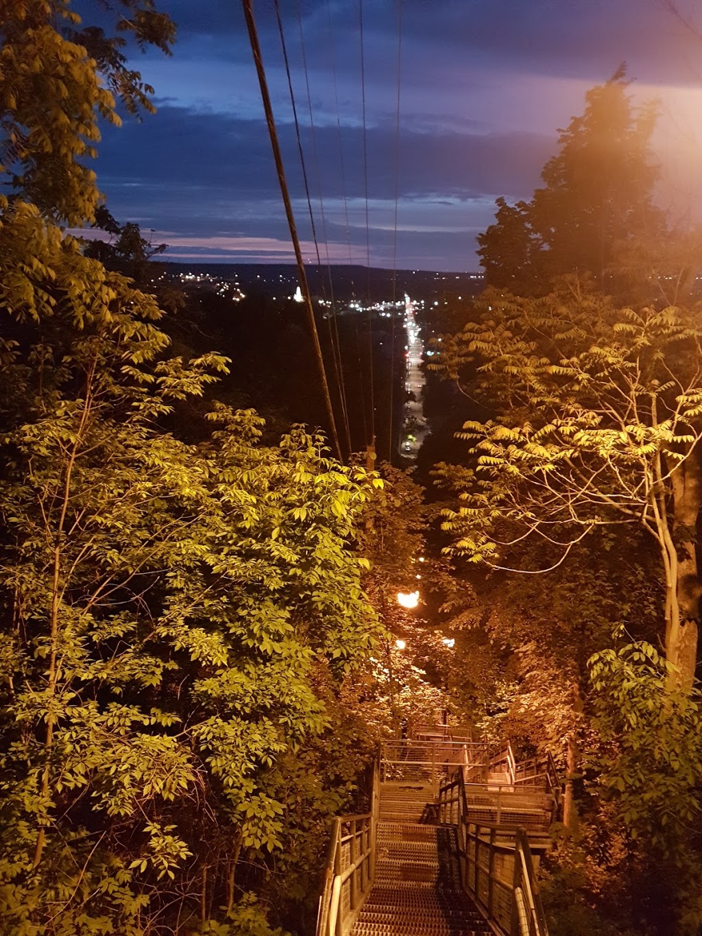 Dundurn Stairs | 2X3, Dundurn Stairs, Hamilton, ON L8P 2X3, Canada