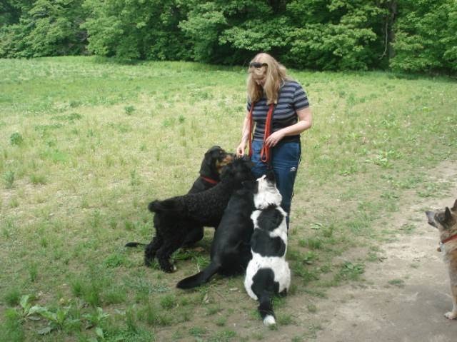 Puppy Dog Trails | 1358 Odessa Crescent, Oakville, ON L6H 1R8, Canada | Phone: (647) 376-7832