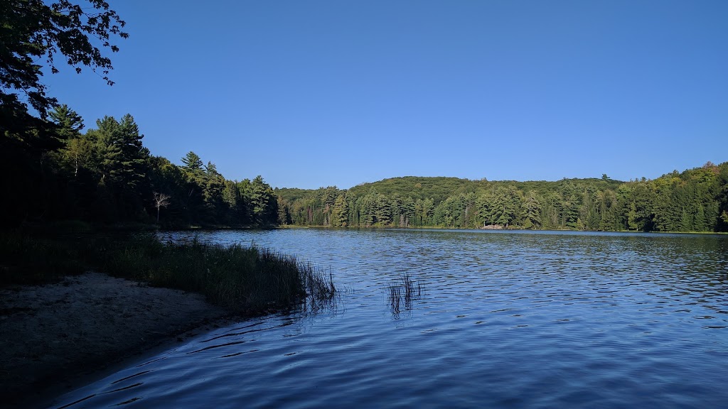 Breton Beach | Chemin du Lac-Philippe, La Pêche, QC J0X 2W0, Canada