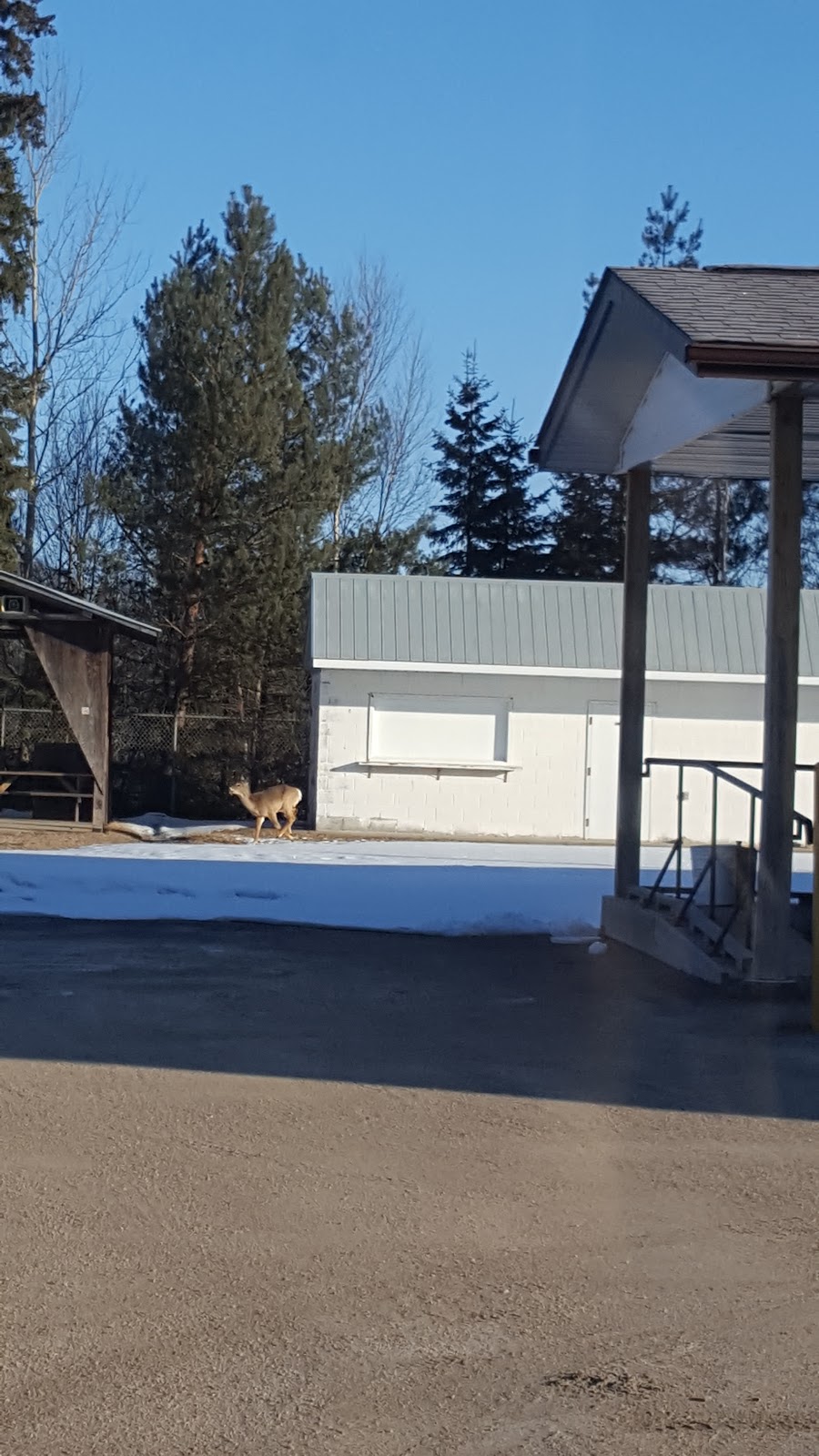 Katrine Community Center | Armour, ON P0A 1L0, Canada | Phone: (705) 382-5019