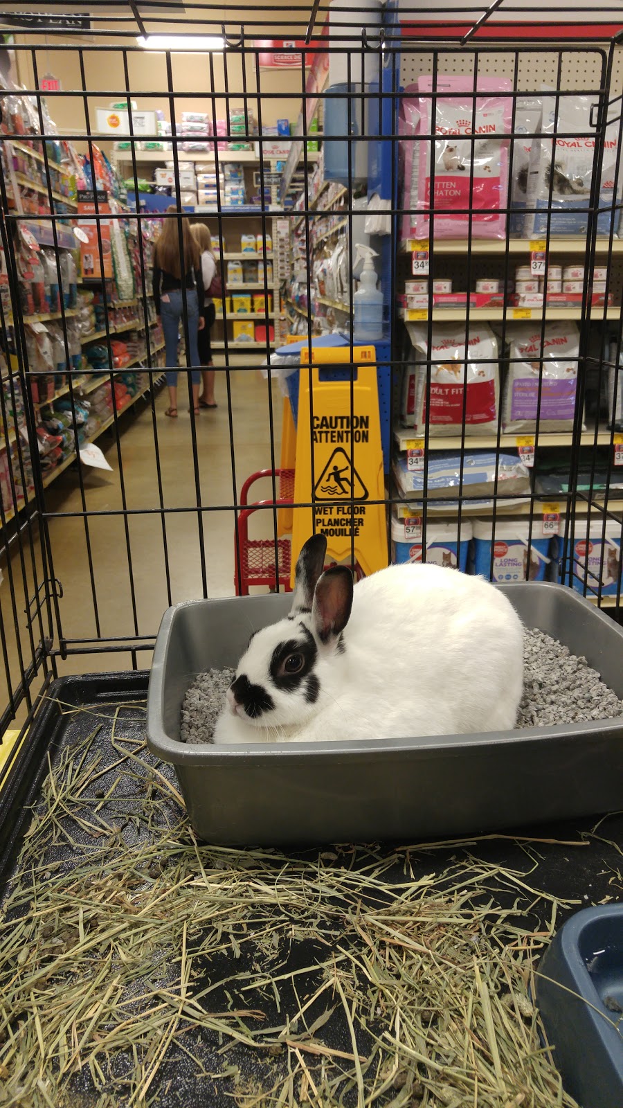PetSmart | 320 Taunton Rd. East - Unit E1b, Whitby, ON L1R 0H4, Canada | Phone: (905) 655-1276
