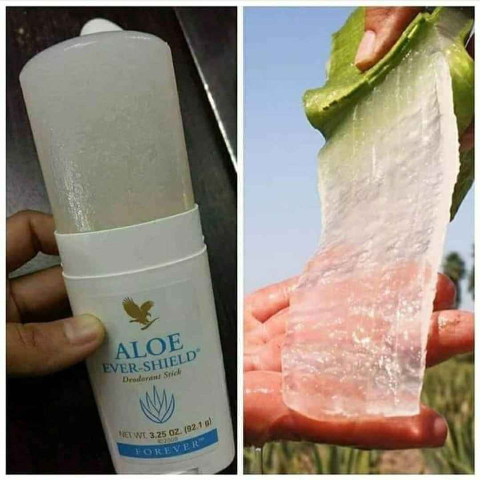 Forever Living - Aloe Vera Independent Representative | 406 Rue Vanier, Dieppe, NB E1A 6X3, Canada | Phone: (226) 929-2356
