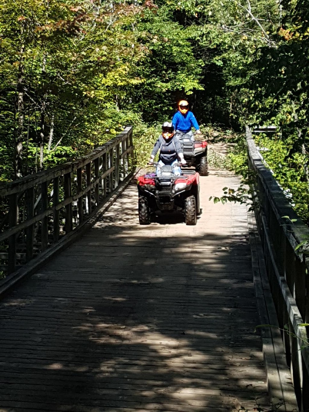 Back Country Tours | 2839 ON-60, Dwight, ON P0A 1H0, Canada
