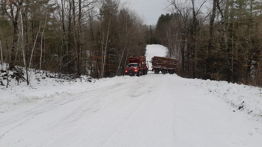 Leclair Forestry Services | Lazier Rd, Belleville, ON K8N 4Z6, Canada | Phone: (888) 917-9663