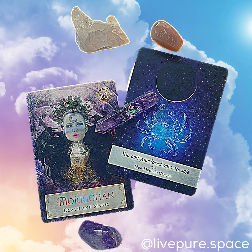 Livepure | 4 Rosehill Ct, Cambridge, ON N1S 3H9, Canada | Phone: (289) 828-1237