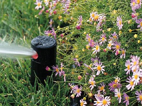 Water Your World Inc. | 494 Concession Rd 6 W, Millgrove, ON L0R 1V0, Canada | Phone: (905) 689-6168
