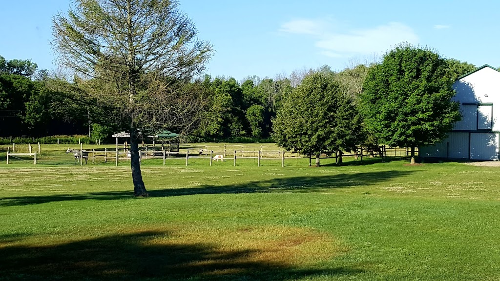 BR Equestrian Centre | 241 Harley Rd, Harley, ON N0E 1E0, Canada | Phone: (519) 755-1377