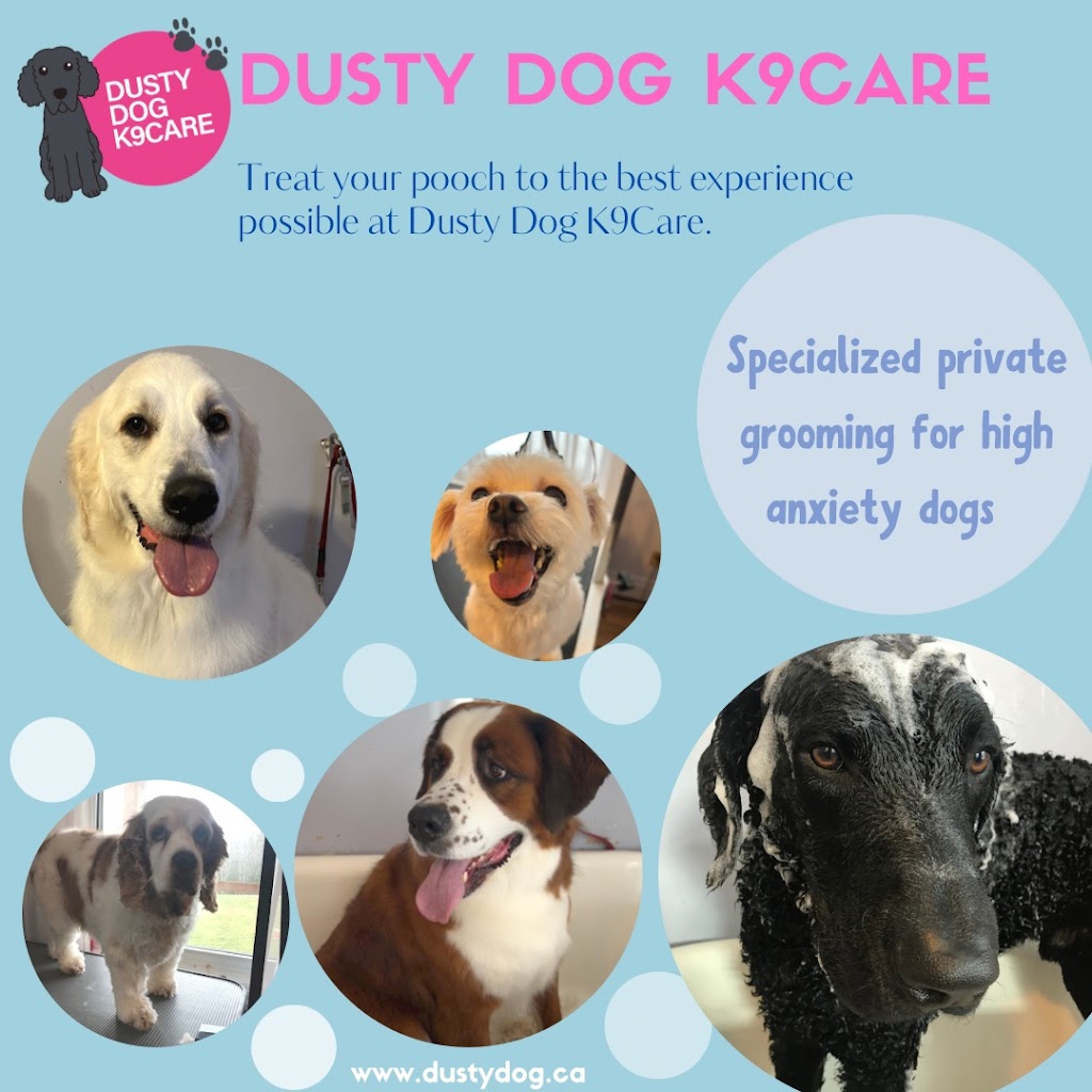 Dusty Dog K9Care | 170 Foxbrook Rd, Hopewell, NS B0K 1C0, Canada | Phone: (902) 921-3815