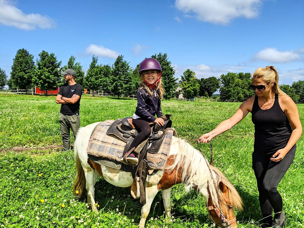 Ranch BoSoleil | 532 Rang Saint-Henri, Saint-Bernard, QC G0S 2G0, Canada | Phone: (418) 209-0865