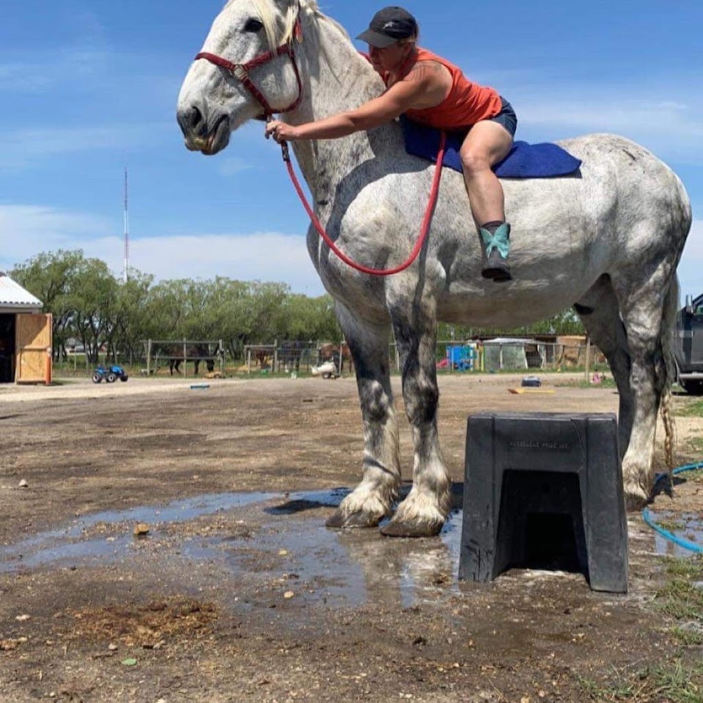 Sunrise Equestrian Centre | 59133 Hwy 12, Anola, MB R0E 0A0, Canada | Phone: (204) 805-7402