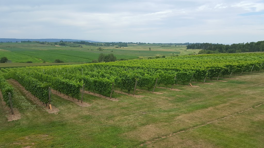 Planters Ridge Winery | 1441 Church St, Port Williams, NS B0P 1T0, Canada | Phone: (902) 542-2711
