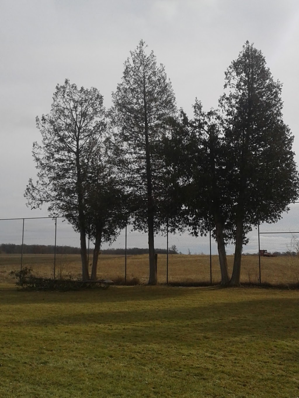 Victoria Park | 5067 Side Rd 20, Thornton, ON L0L 2N0, Canada
